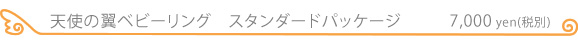 xr[OVg̗