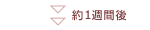 1TԌ